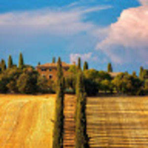 Meet your Posher, Dan